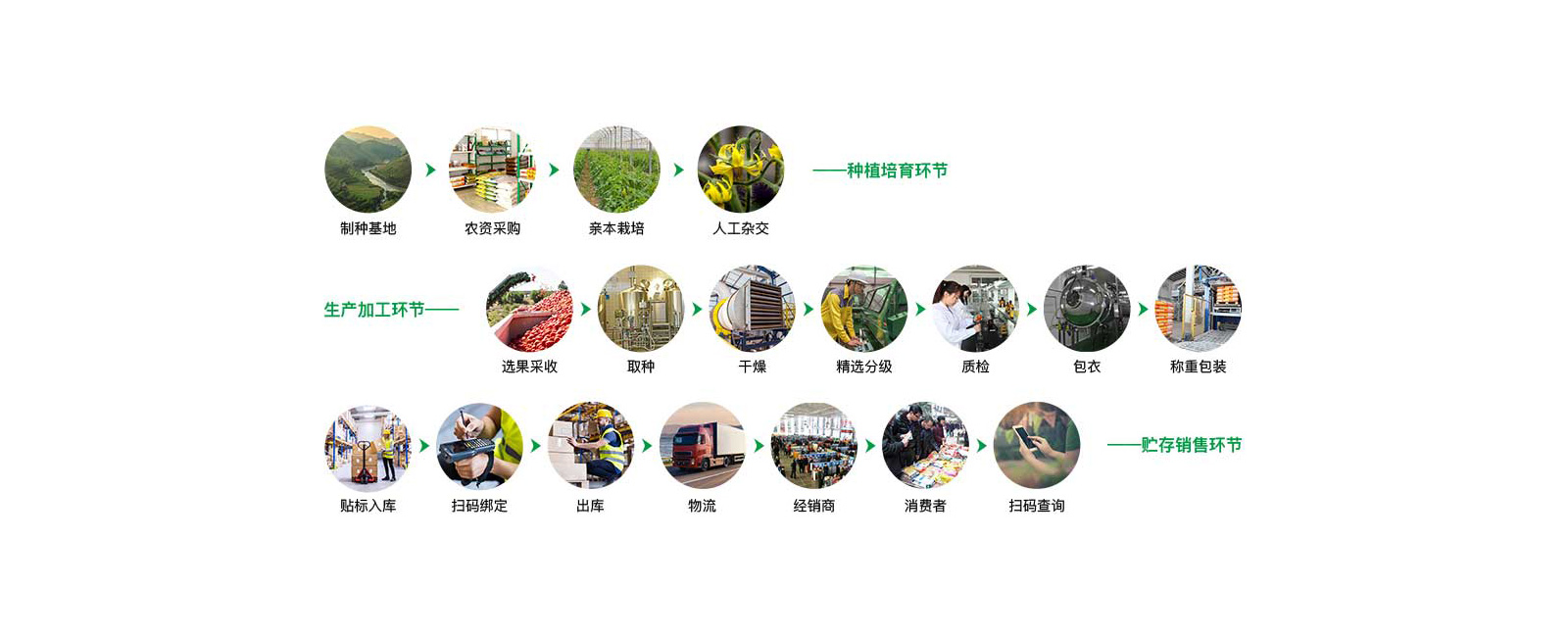 农作物种子二维码标签